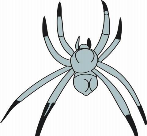 Spider coloring pages for kids to color and print