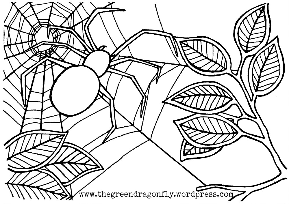 Spider web coloring sheet â the green dragonfly
