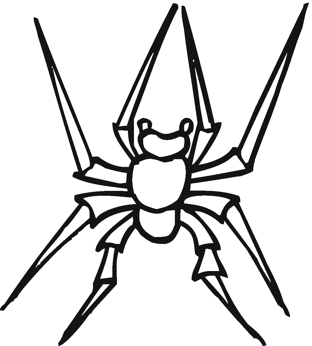 Free printable spider coloring pages for kids