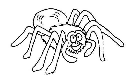 Spider coloring pages