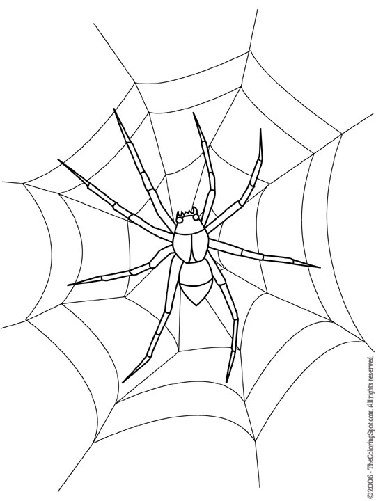 Spider coloring page audio stories for kids free coloring pages colouring printables