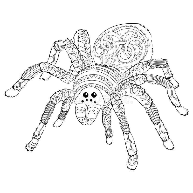 Adult coloring page with halloween nasty spider stock vector