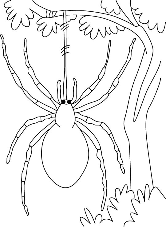 Spider swing free in wind coloring pages download free spider swing free in wind coloring pages for kids best coloring pages