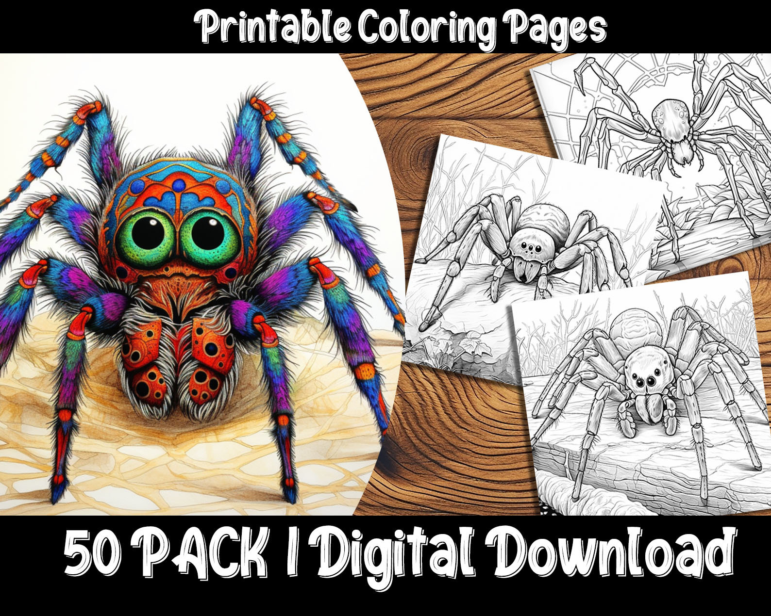 Spider coloring pages explore the intricate world of spiders with our detailed and easy