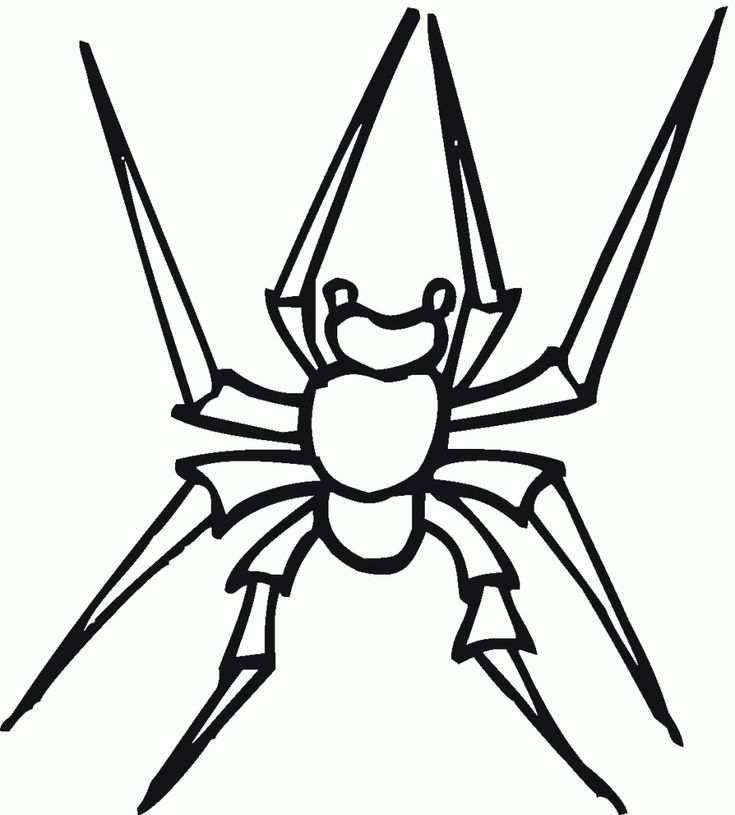 Free printable spider coloring pages for kids spider coloring page tinkerbell coloring pages coloring pages for kids