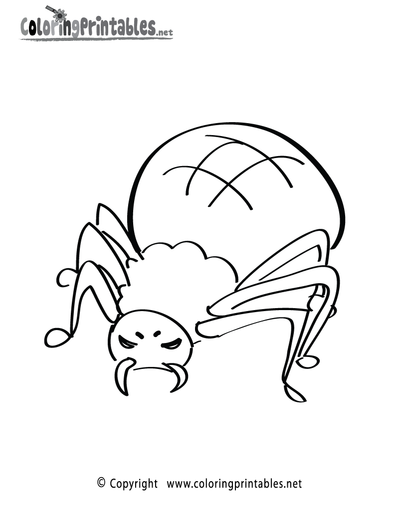 Spider coloring page