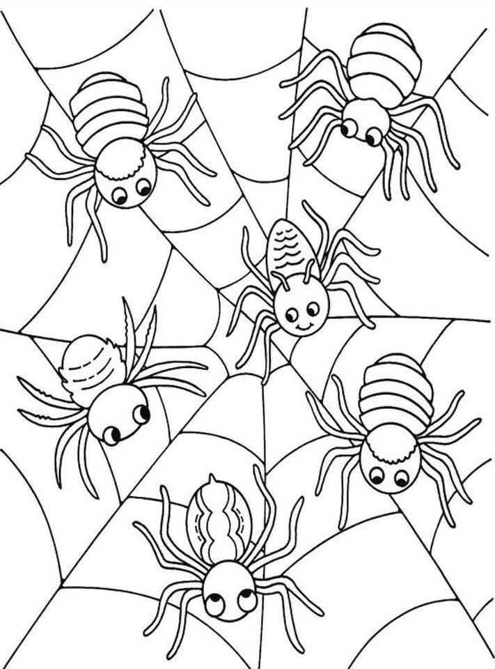 Get this many baby spiders having fun on the web coloring page spider printable for kids