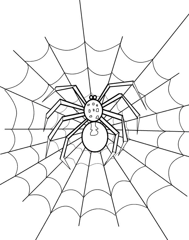 Free printable spider coloring pages for kids spider coloring page coloring pages printable coloring pages