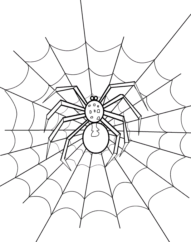 Free printable spider coloring pages for kids spider coloring page coloring pages printable coloring pages