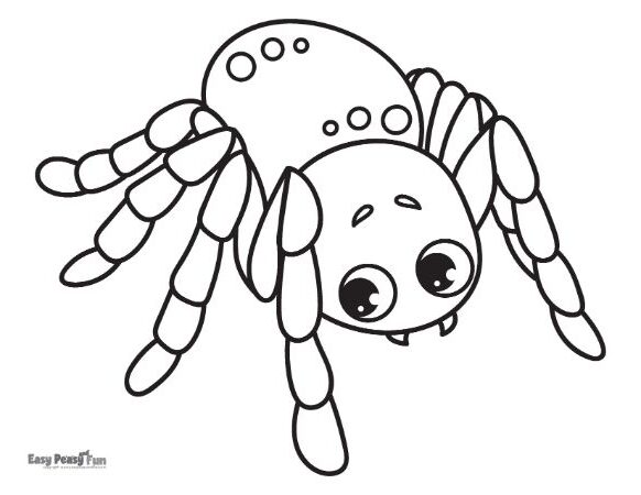 Printable spider coloring pages â sheets