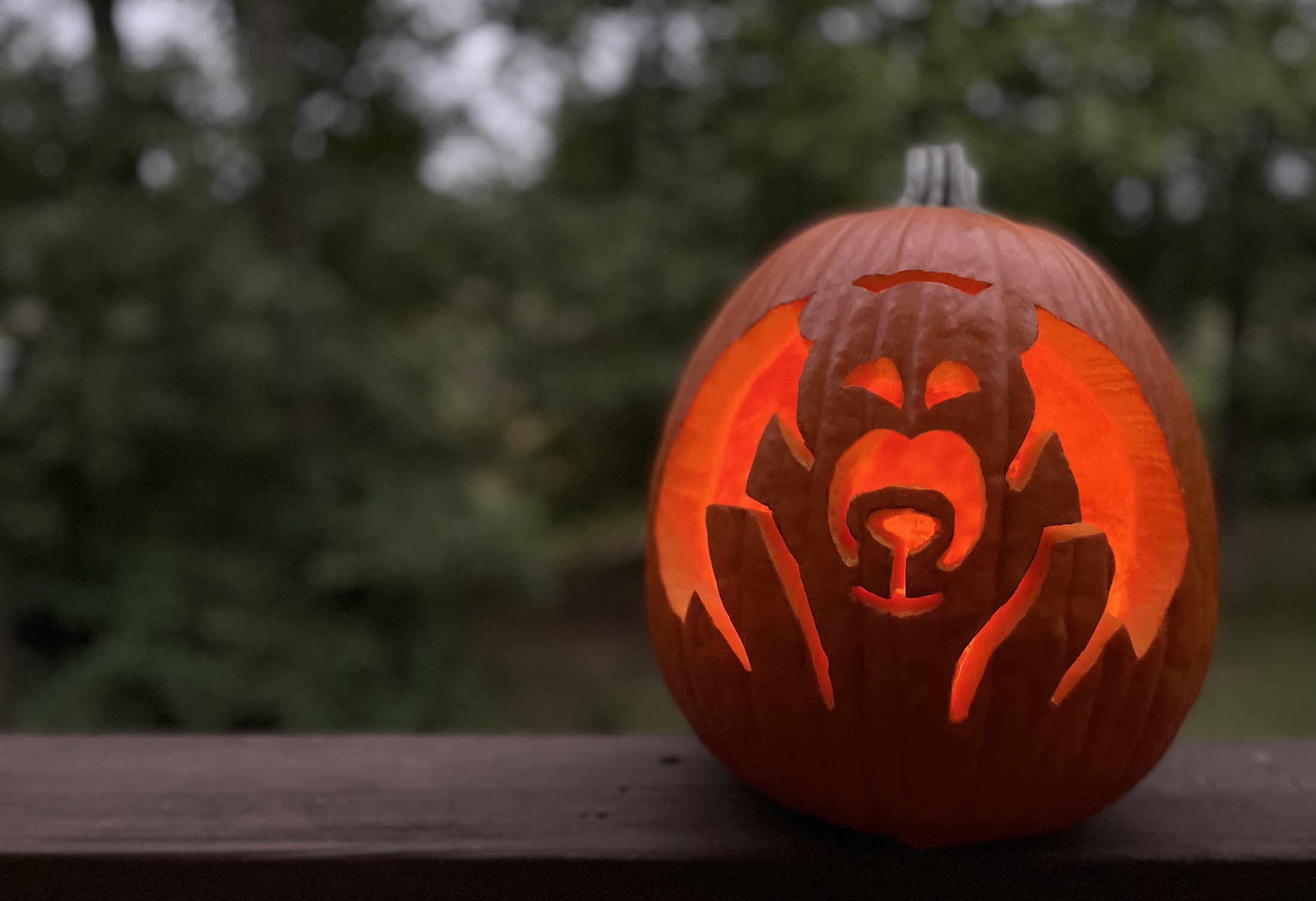 Park pumpkin carvings challenge us national park service