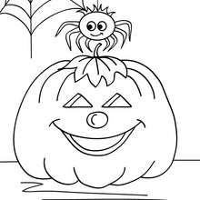 Tarantula and pumpkin coloring pages