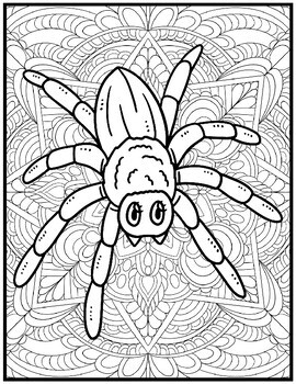 Spiders coloring pages mindfulness spiders coloring sheets by qetsy