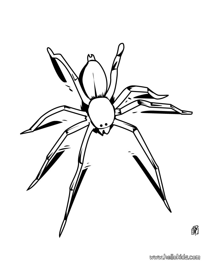 Spider coloring pages