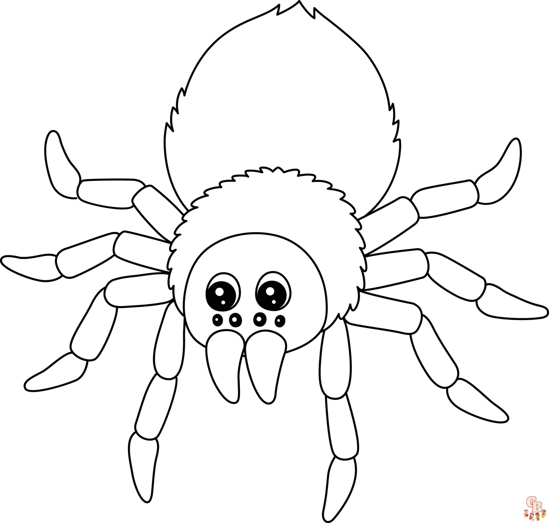 Unleash your childs creativity with spider coloring pages