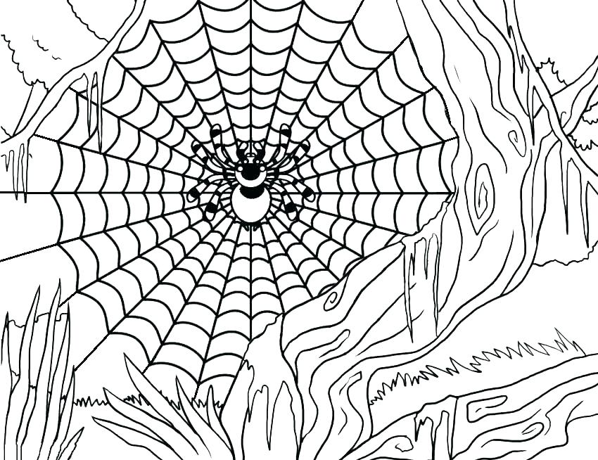 Free printable spider coloring pages for kids