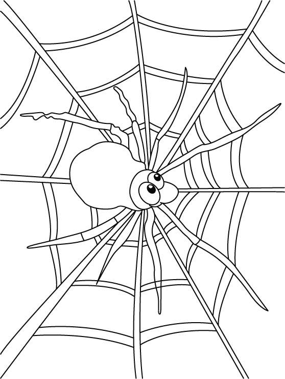 Spider web coloring pages download free spider web coloring pages for kids best coloring pages