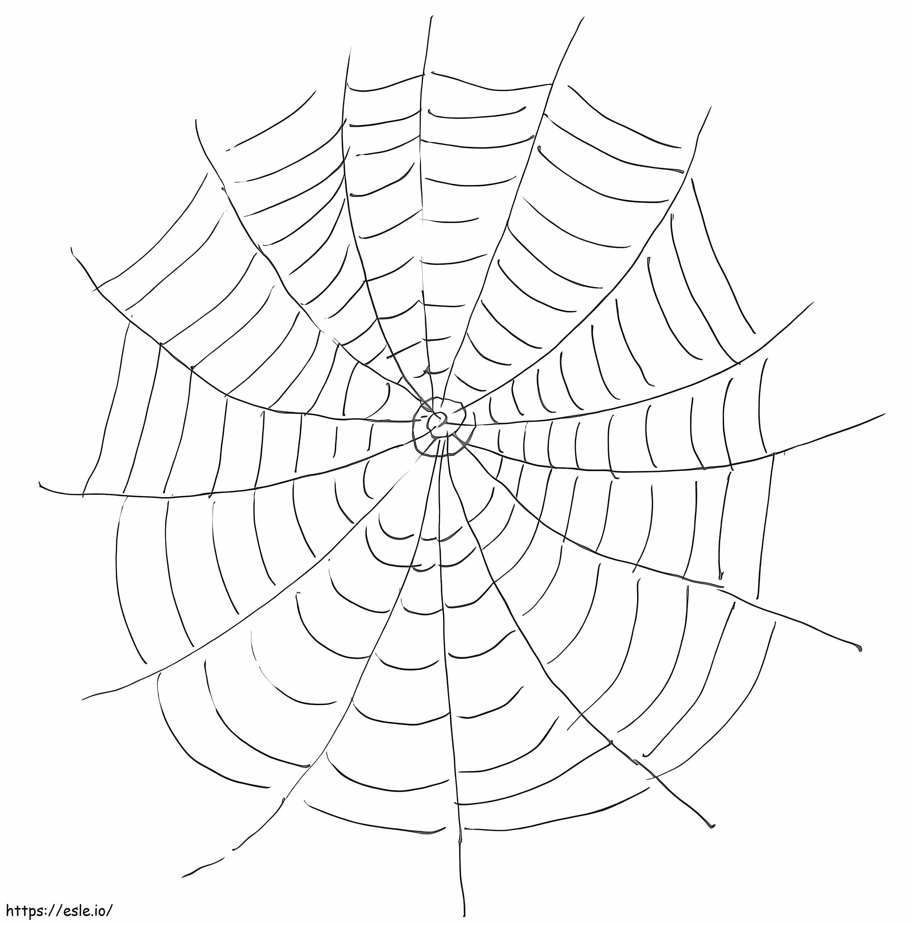 Normal spider web coloring page