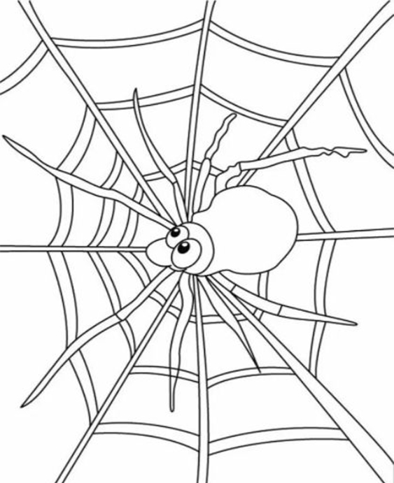 Free easy to print spider coloring pages