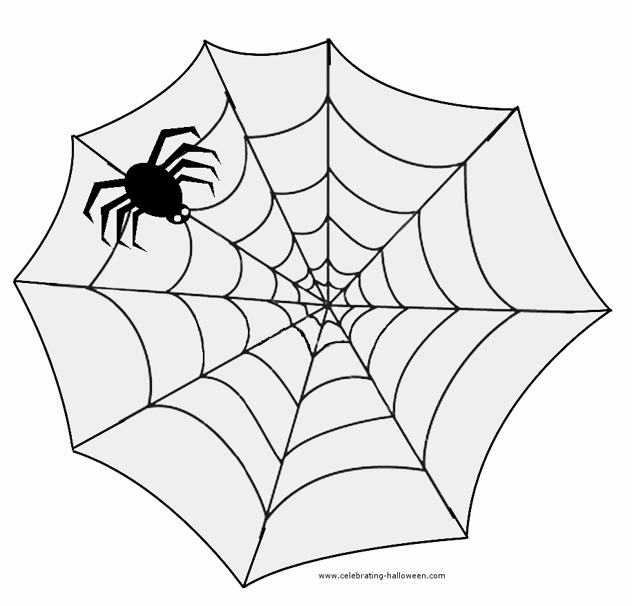 Spiders web pattern