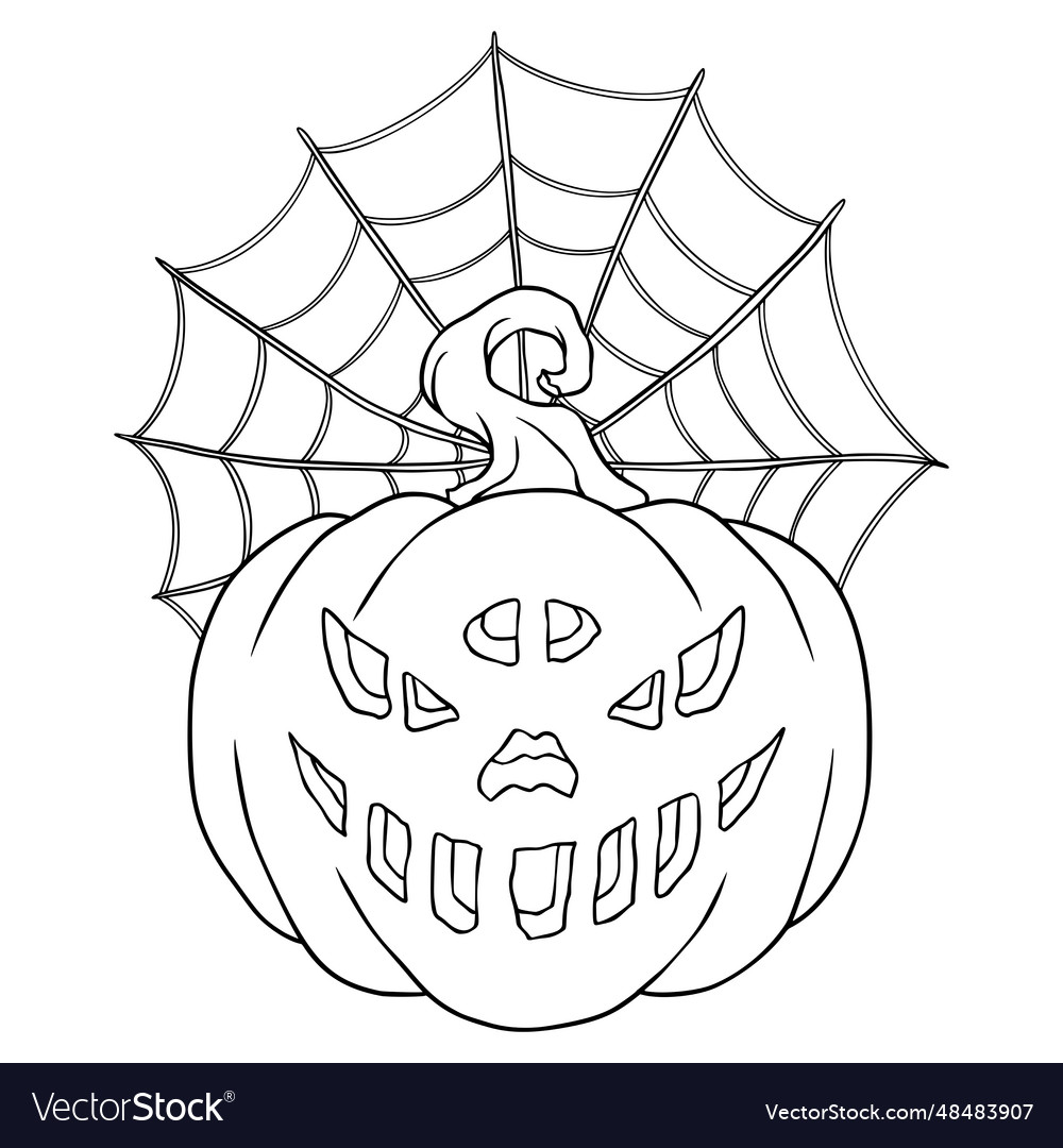 Pumpkin with spider web