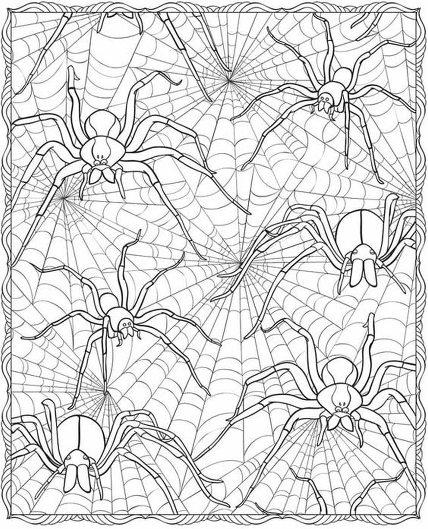 Get this adult halloween coloring pages spider web spw