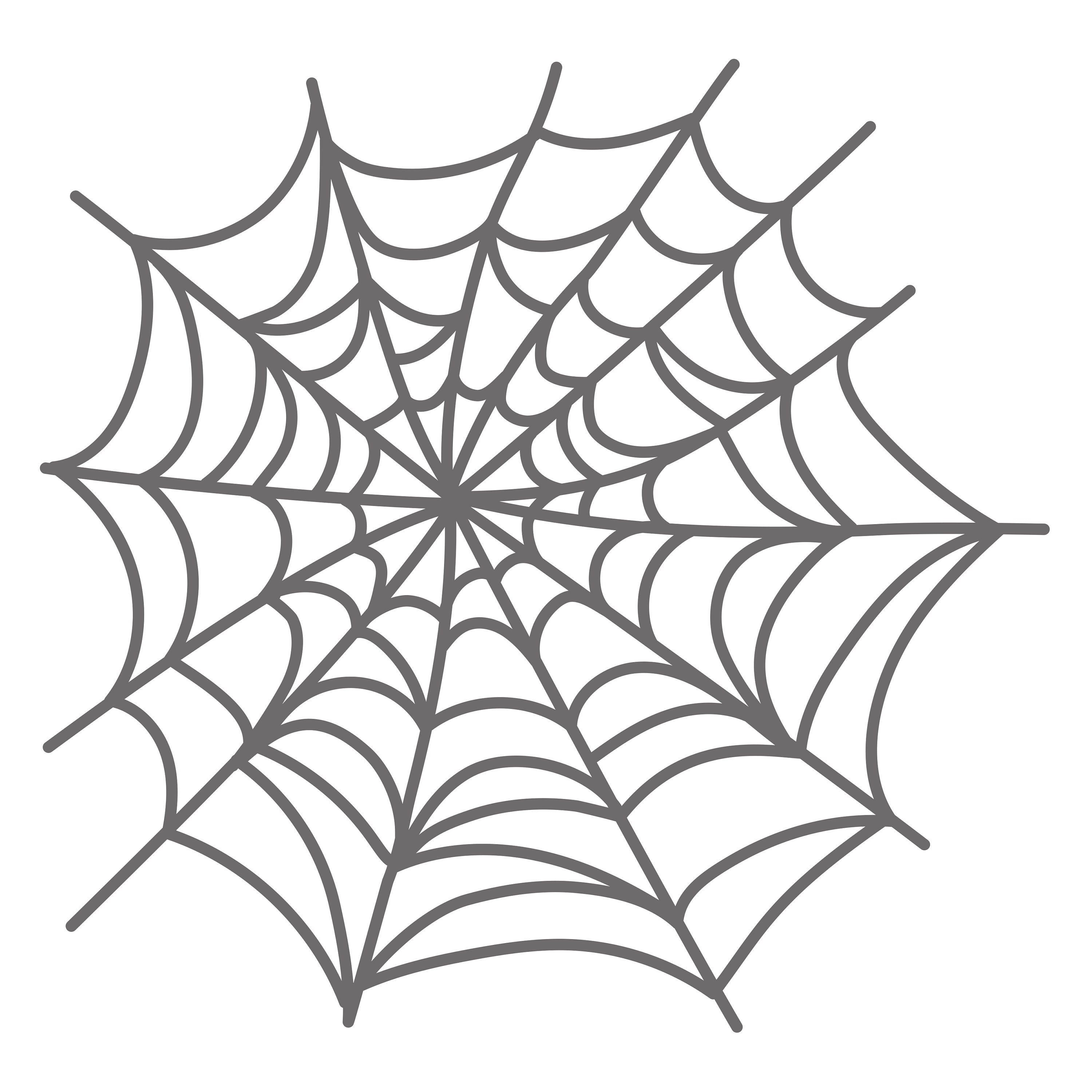 Spiderweb cut file zip folder with svg dxf png pdf and studio files