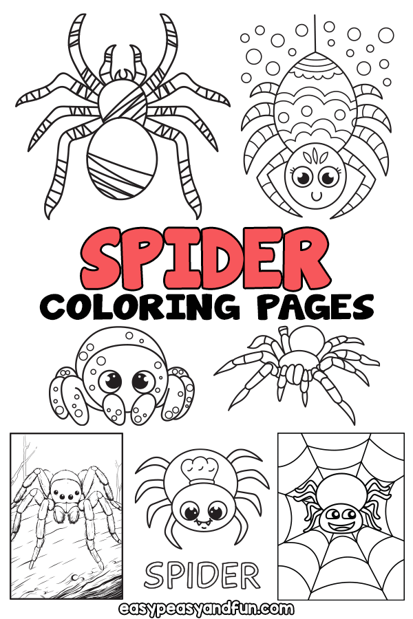 Printable spider coloring pages â sheets