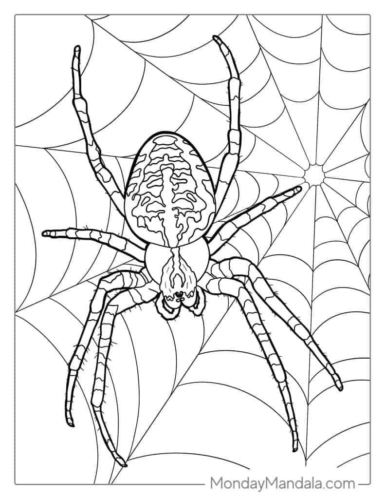 Spider coloring pages free pdf printables