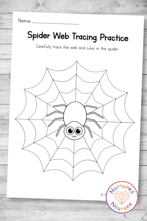 Spider web tracing practice worksheet preschool printable