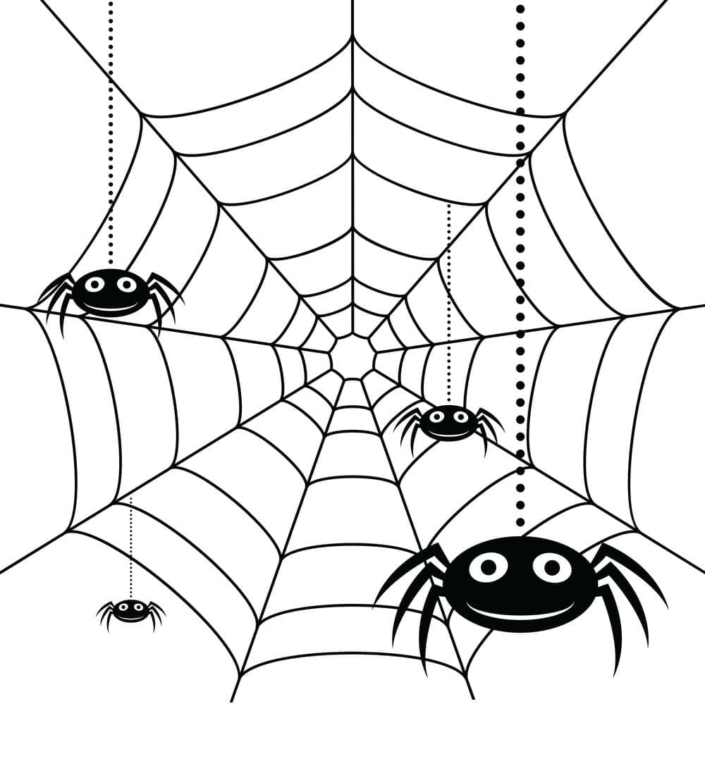 Cute spiders and spider web coloring page