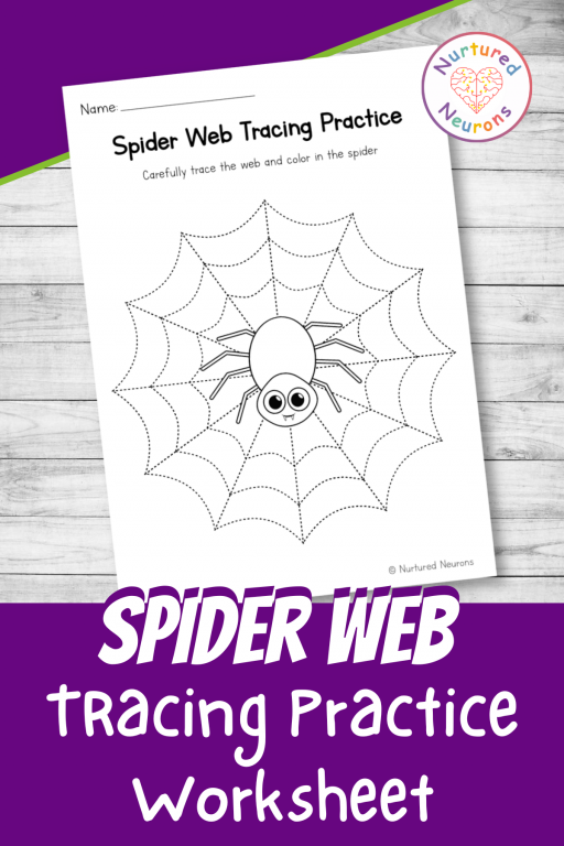 Spider web tracing practice worksheet preschool printable