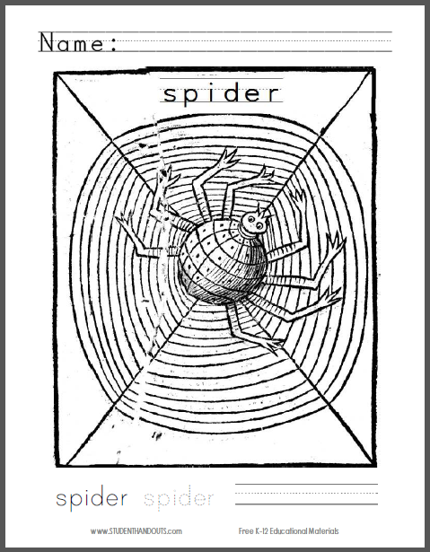 Spider coloring page for kids student handouts