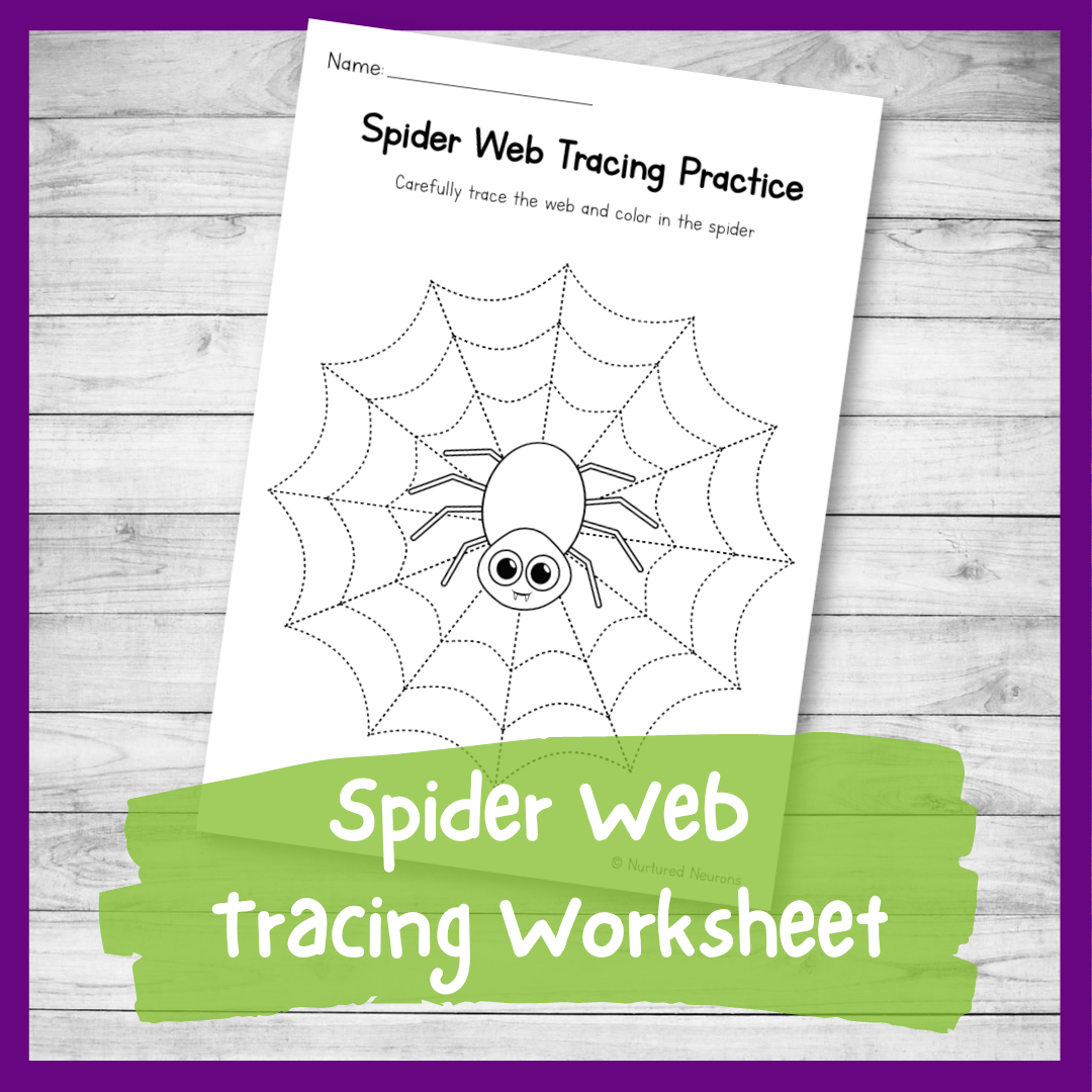 Spider web tracing practice worksheet preschool printable