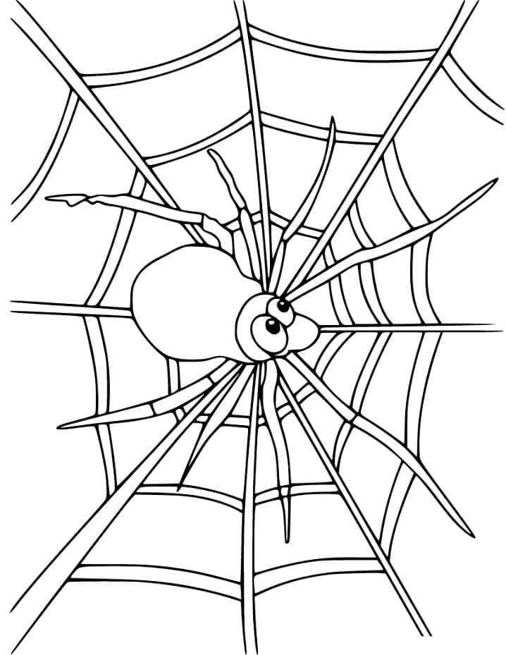 Cute spiders and spider web coloring page