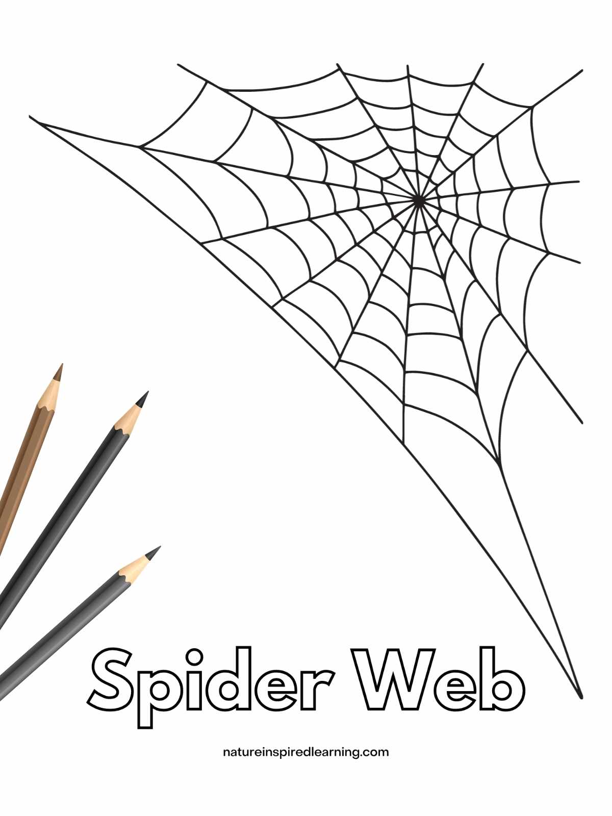 Spider web coloring pages