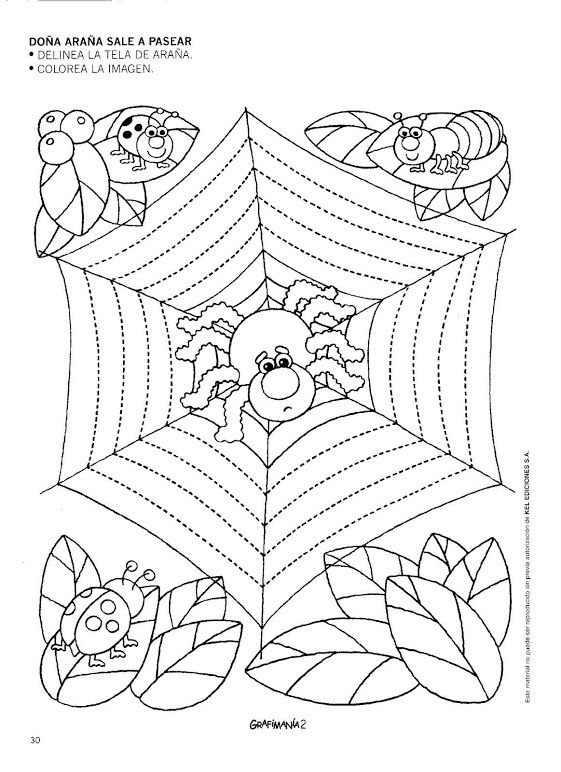 Spider trace worksheet crafts and worksheets for preschooltoddler and kindergarten