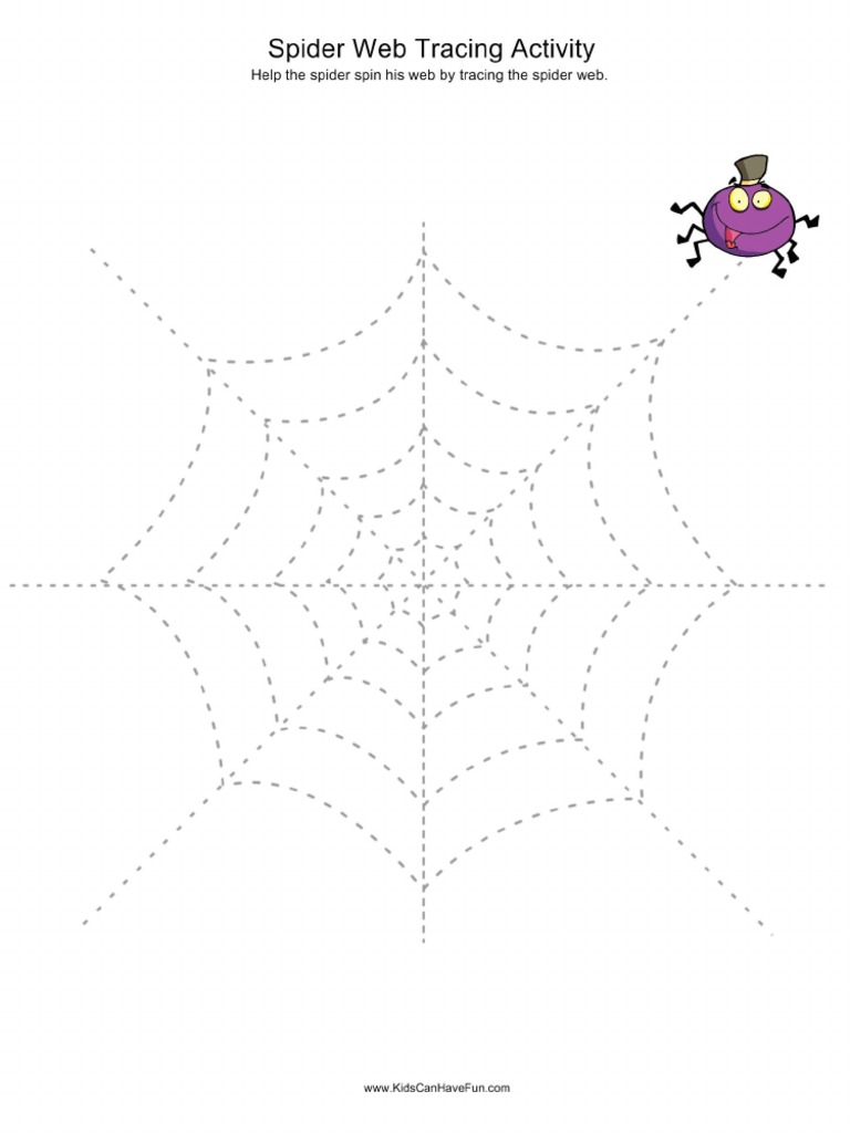 Spider web tracing activity pdf