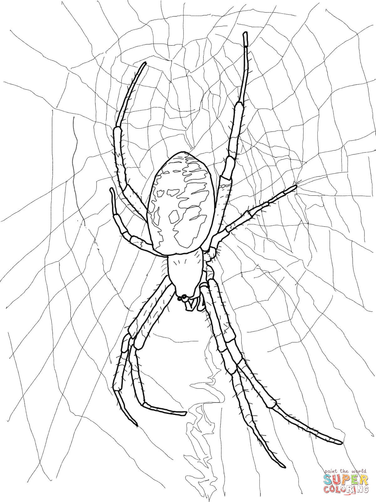 Black and yellow garden spider coloring page free printable coloring pages