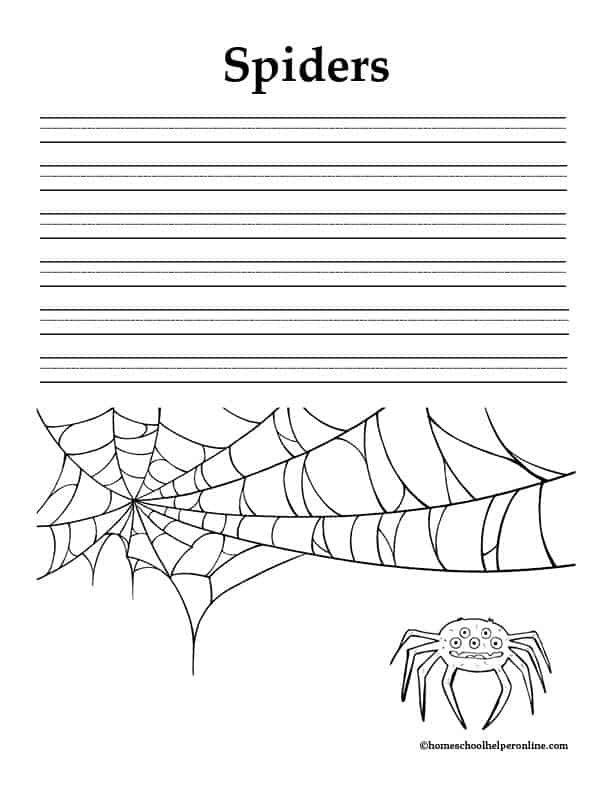 Spiders notebooking pages in levels for homeschooling