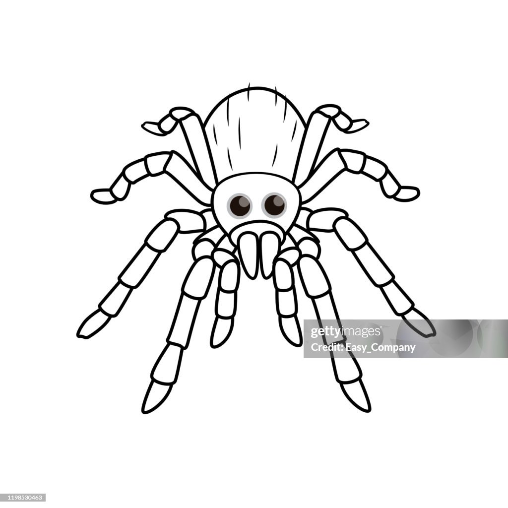 Vector illustration of spider isolated on white background for kids coloring book high