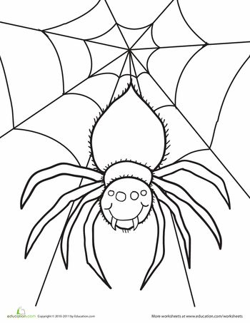 Spider worksheet education spider coloring page halloween coloring pages coloring pages