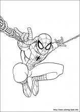 Ultimate spider