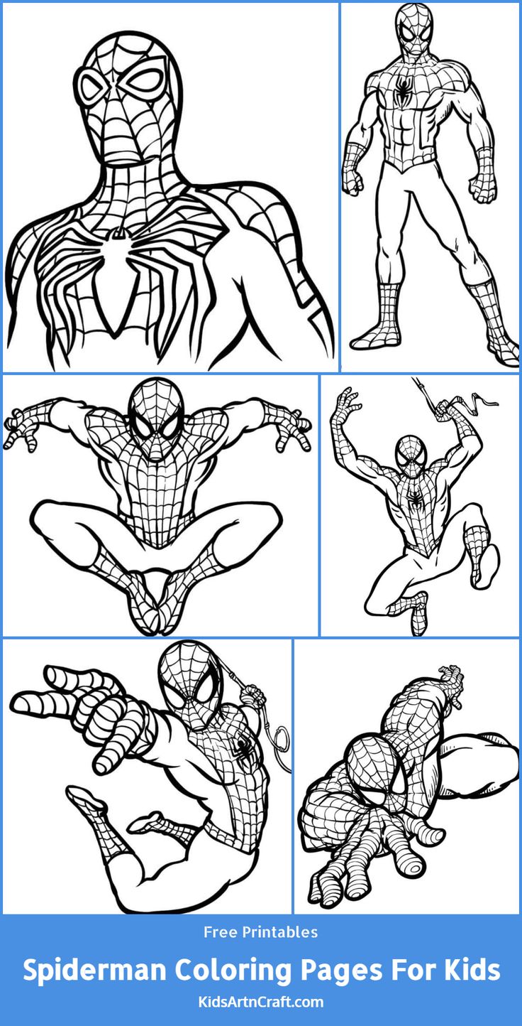 Spiderman coloring pages for kids â free printables spiderman coloring coloring pages printables free kids
