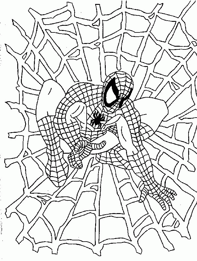 Free spider coloring sheets download free spider coloring sheets png images free cliparts on clipart library