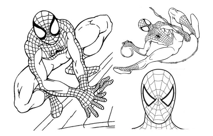 Spiderman coloring avengers coloring pages coloring pages to print