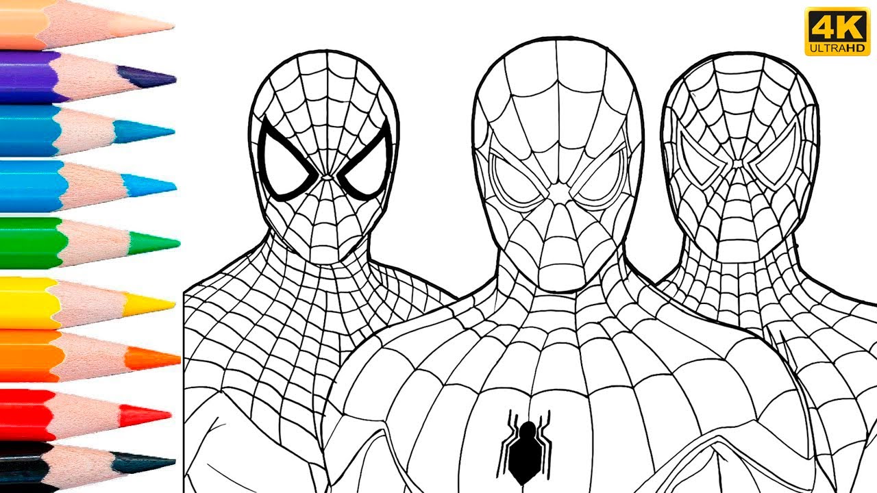 Spideran coloring page