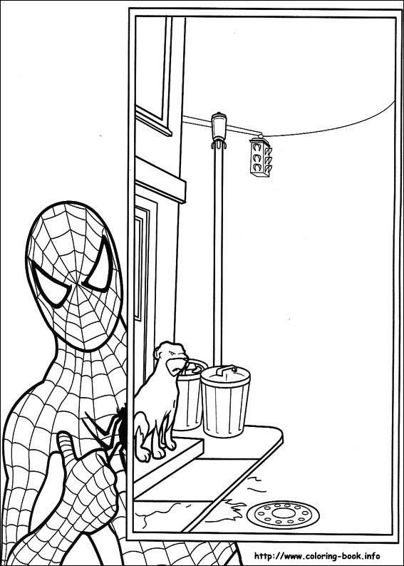 Spiderman coloring picture