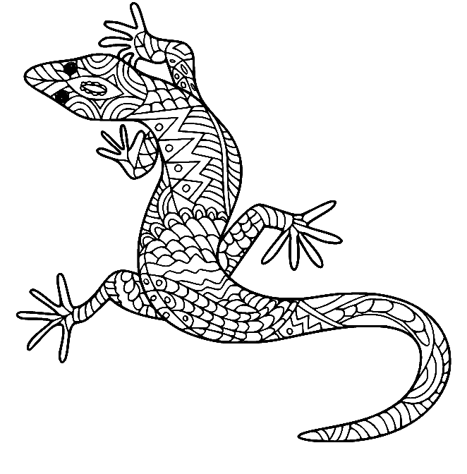 Lizard coloring pages printable for free download