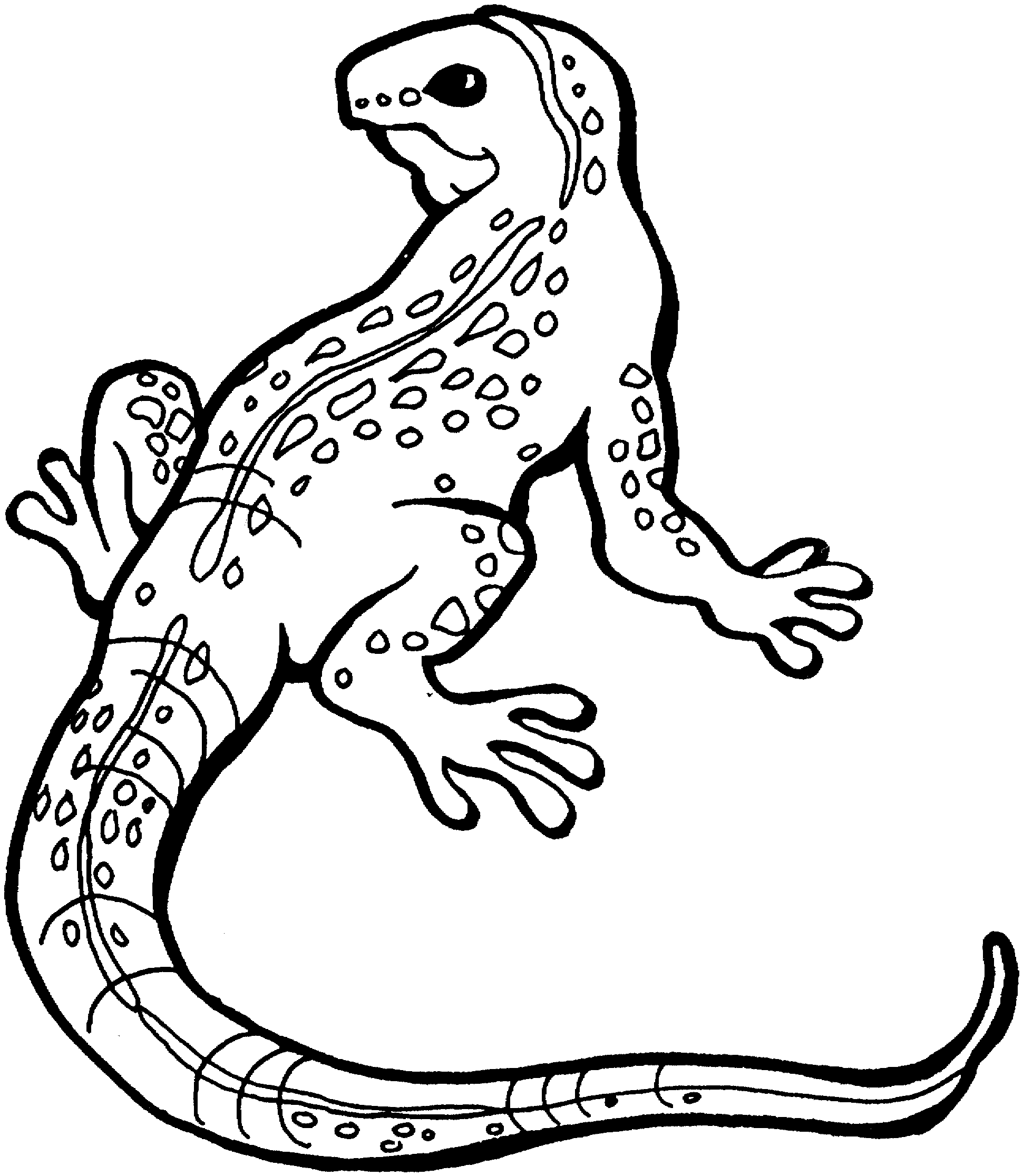 Free printable lizard coloring pages for kids